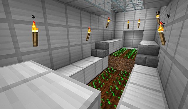 Auto Farm Auto Farm