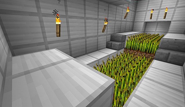Auto Farm Auto Farm