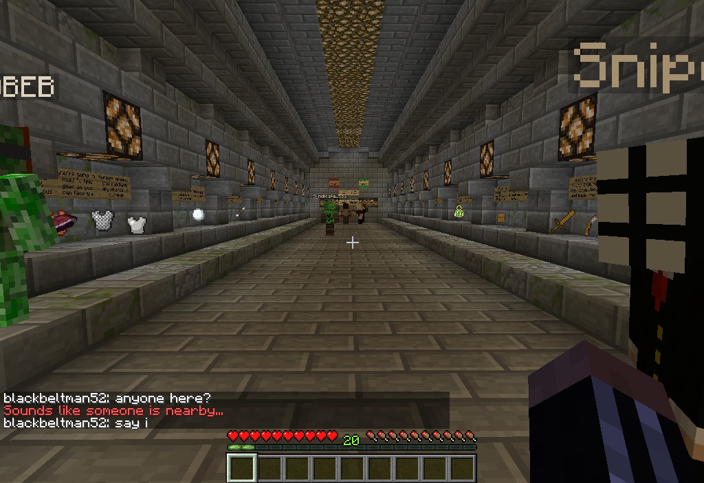 minez server review minecraft