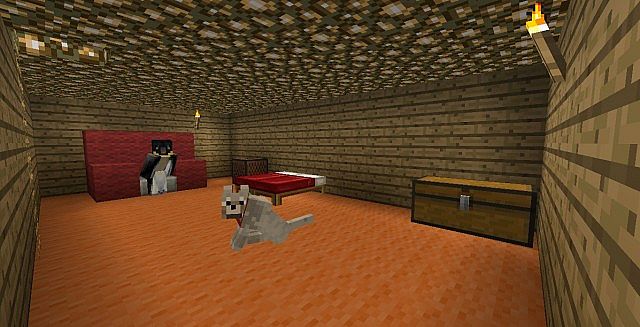 Basement/ Bedroom #2