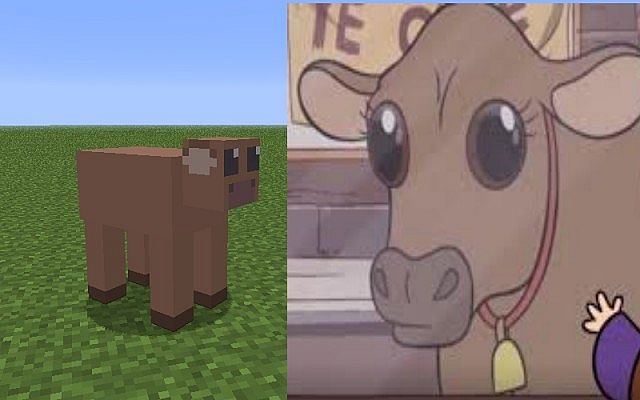 Cow