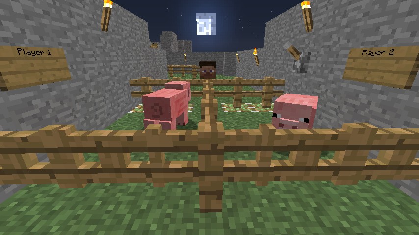 2 player race Minecraft Map