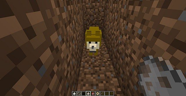 The normal Wile E. Coyote