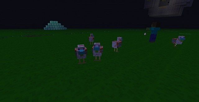 Chickens!