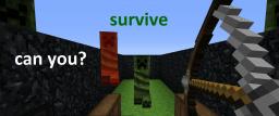 survive Minecraft Map & Project