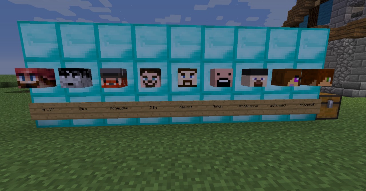 Custom heads minecraft project