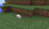 A white mice, there are other colors.