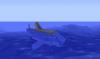 This is a shark it will attack you.