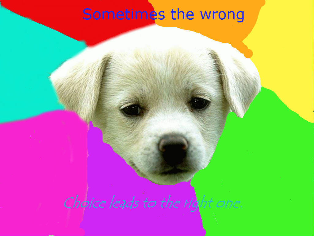 megamanx319 advice animal for