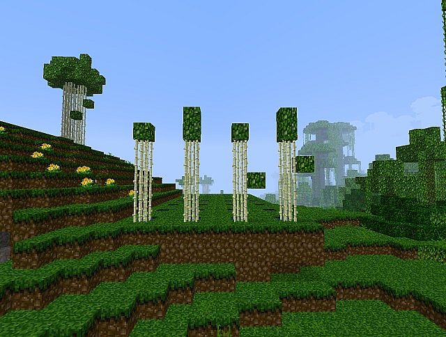 Bamboo forest biome Minecraft Map