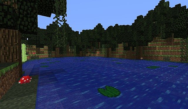 The swamps.