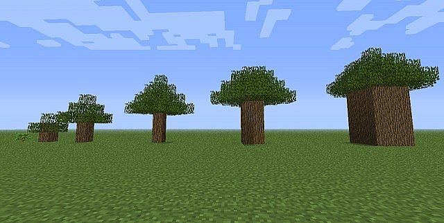 tree and grow station