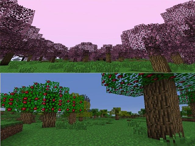 Orchard and Cherry Grove