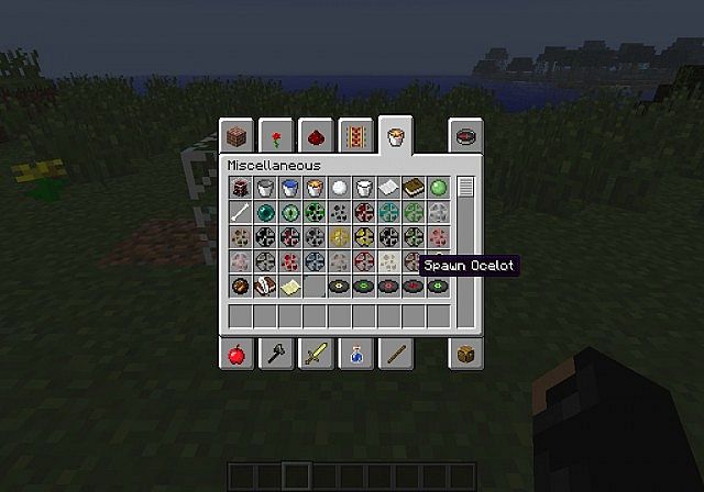 miscellaneous items