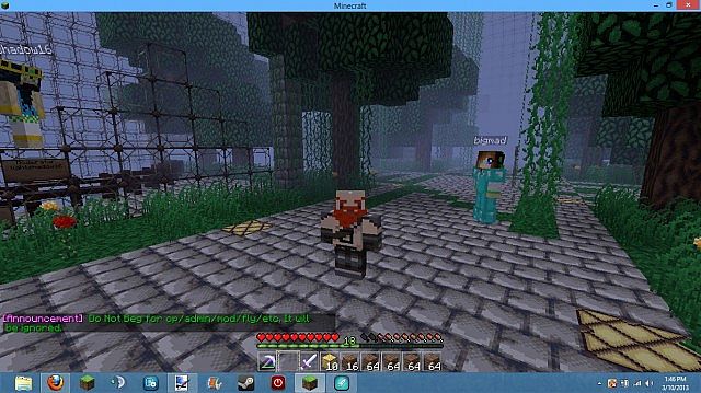 Player Model Mod Test Minecraft Map