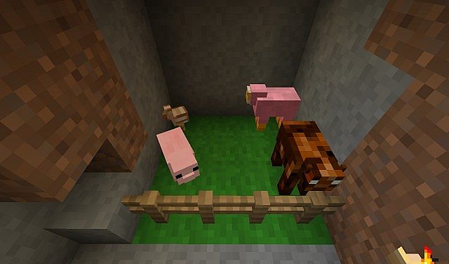 The Main Animals