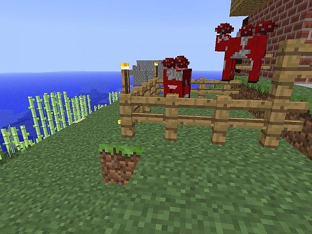 My mooshrooms cows.