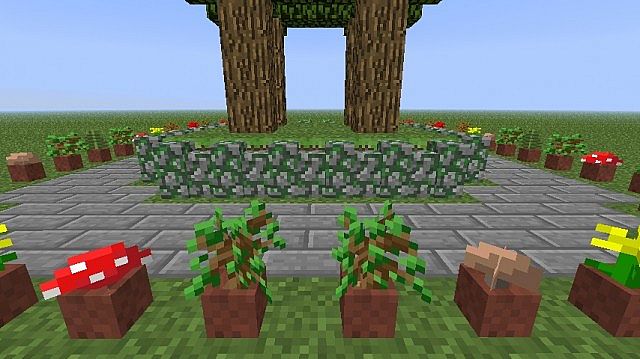 A roundabout? Minecraft Map