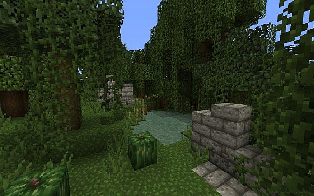 Jungle Ruins