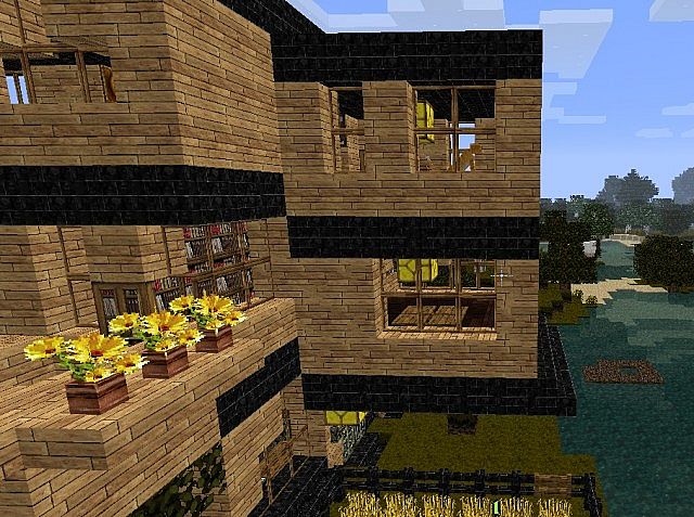 The house again.