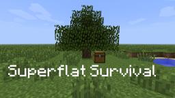 Superflat Survival Minecraft Map & Project