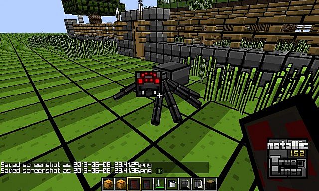 spider