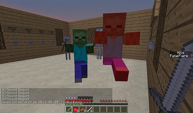Mob Arena In-Game