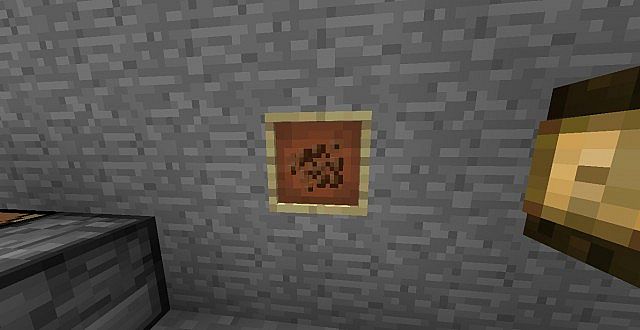 Cocoa Beans
