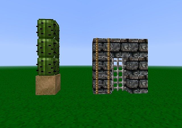 Cactus on Sand, Cobblestone gate with ladder