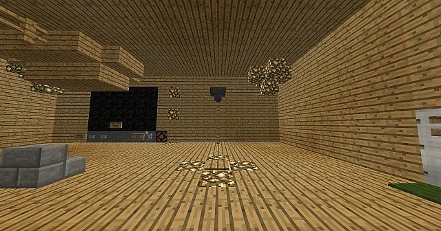 Basket Ball hoop indoors!