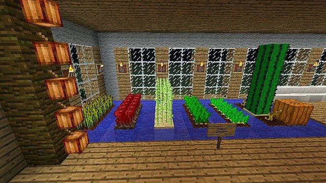 The Indoor Farm.