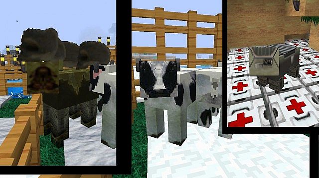 mooshroom, cow, pig