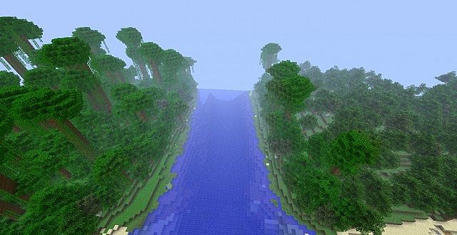 jungle end, forest begining