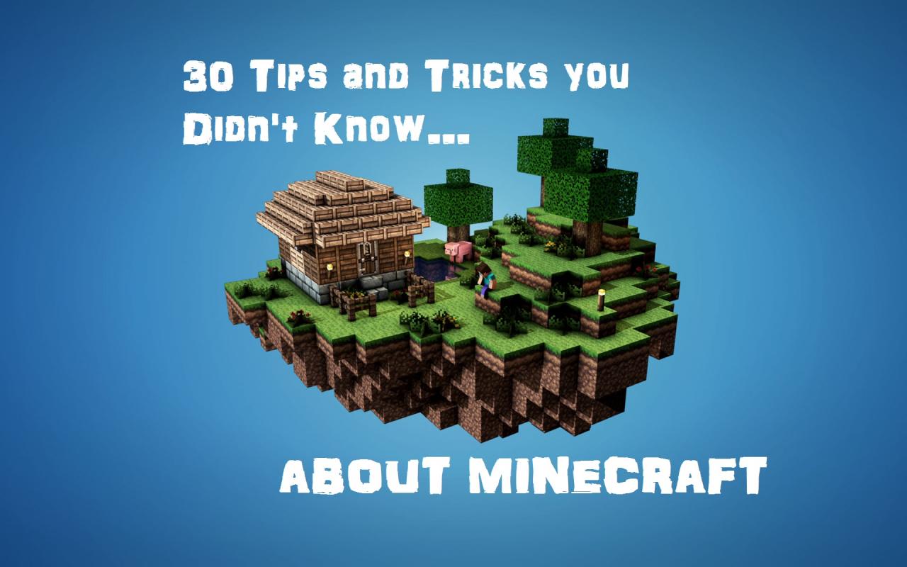 30 Minecraft Tricks and Tips Minecraft Blog