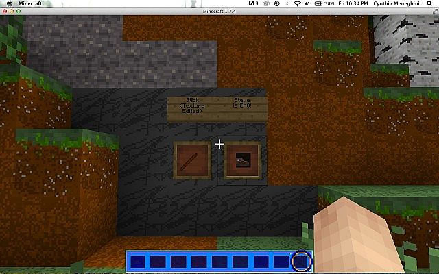 Steve is EMO, and sticks are hi-resolution