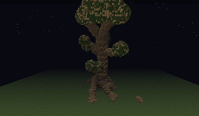 Gaint Tree Gaint Tree
