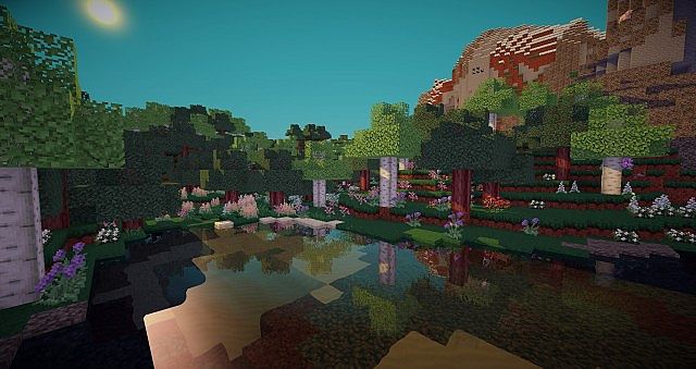 Breath taking Forests