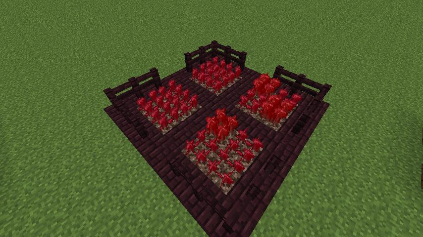 Nether Wart Farm