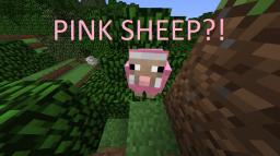 The PINK SHEEP - Facts and Easter Egg Minecraft Blog