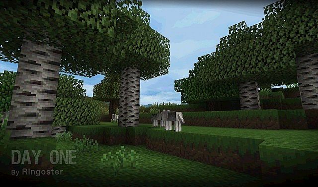 A forest with some wolves.