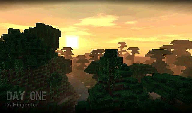 A pretty sunset in the jungle.