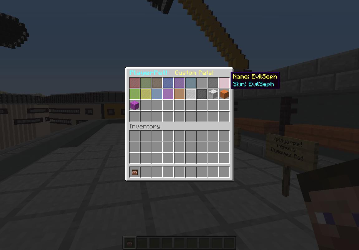 Plugin PlayerPet! Players that follow you around! Added ...