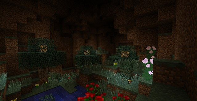 Forest Cavern