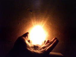 The Chronicals of Diamond_Shadow_. A new Life Minecraft Blog