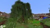Wilow tree