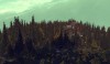 A view of the snowy cliffs and trees above the neighbouring swamp