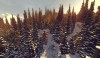 The frosty hills with huge boreal trees