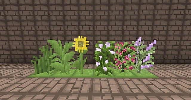 All the tall plants. I couldve also showed the small ones but meh, too lazy