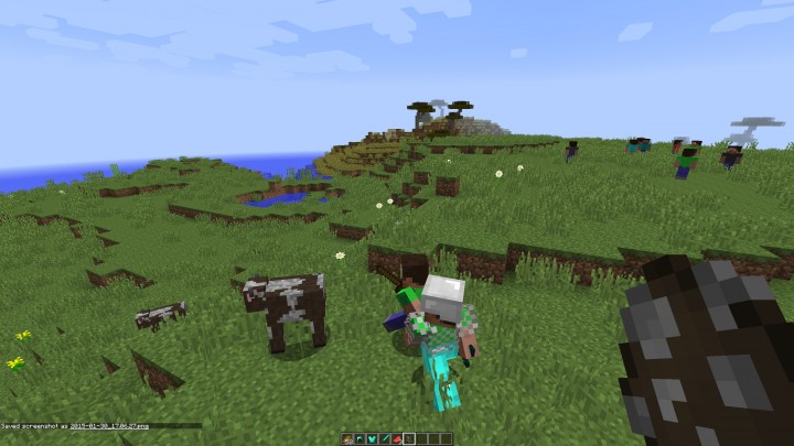 Two humans chasing a cow