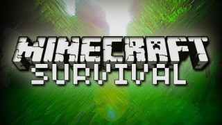 Ninja Assassin Factions Minecraft Server